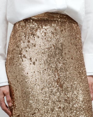 TWP Honey Gwyneth Skirt in Stripe Sequin Mesh view 1