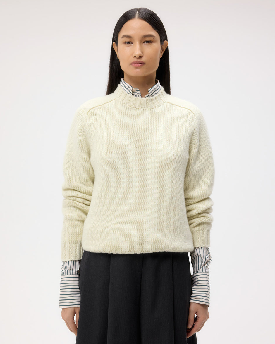 TWP Aloe wash New Jill Crewneck in Cashmere view 1
