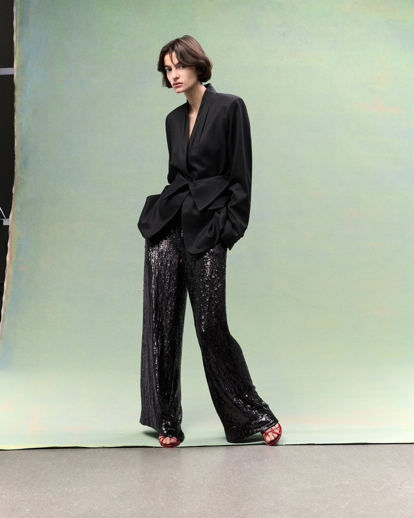 TWP Dark chocolate Adieu For Now Pant in Fishscale Sequins view 7